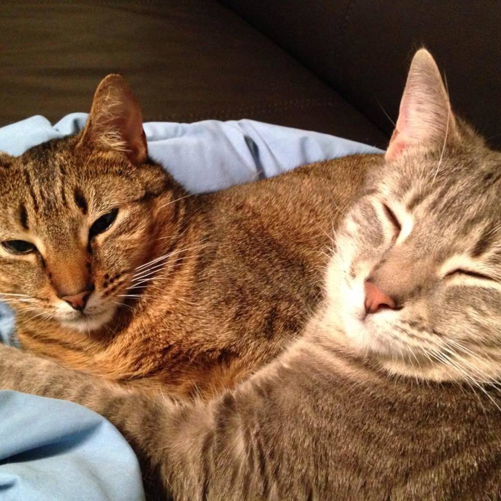 Meet your Posher, Adina